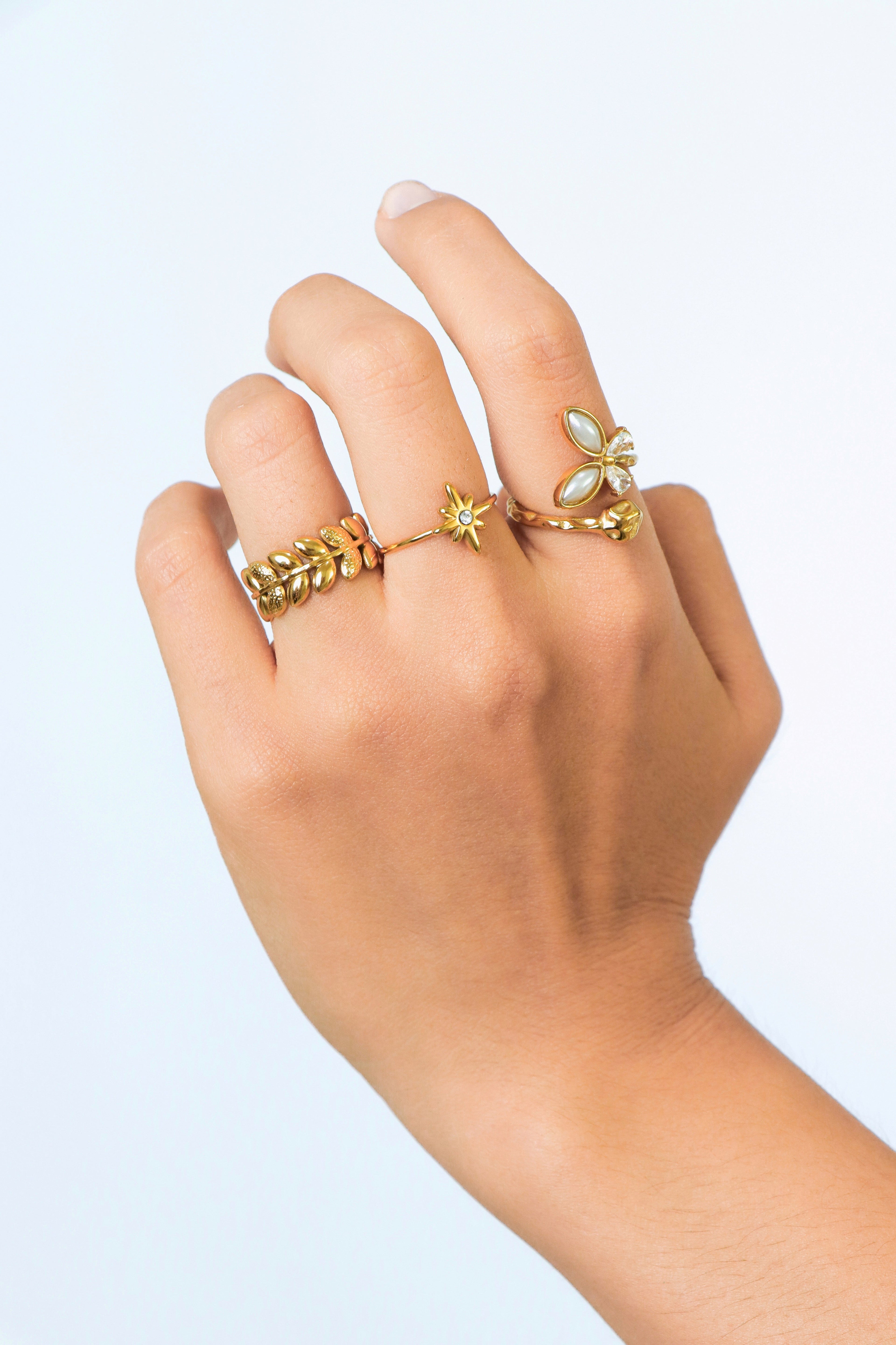 Anillos