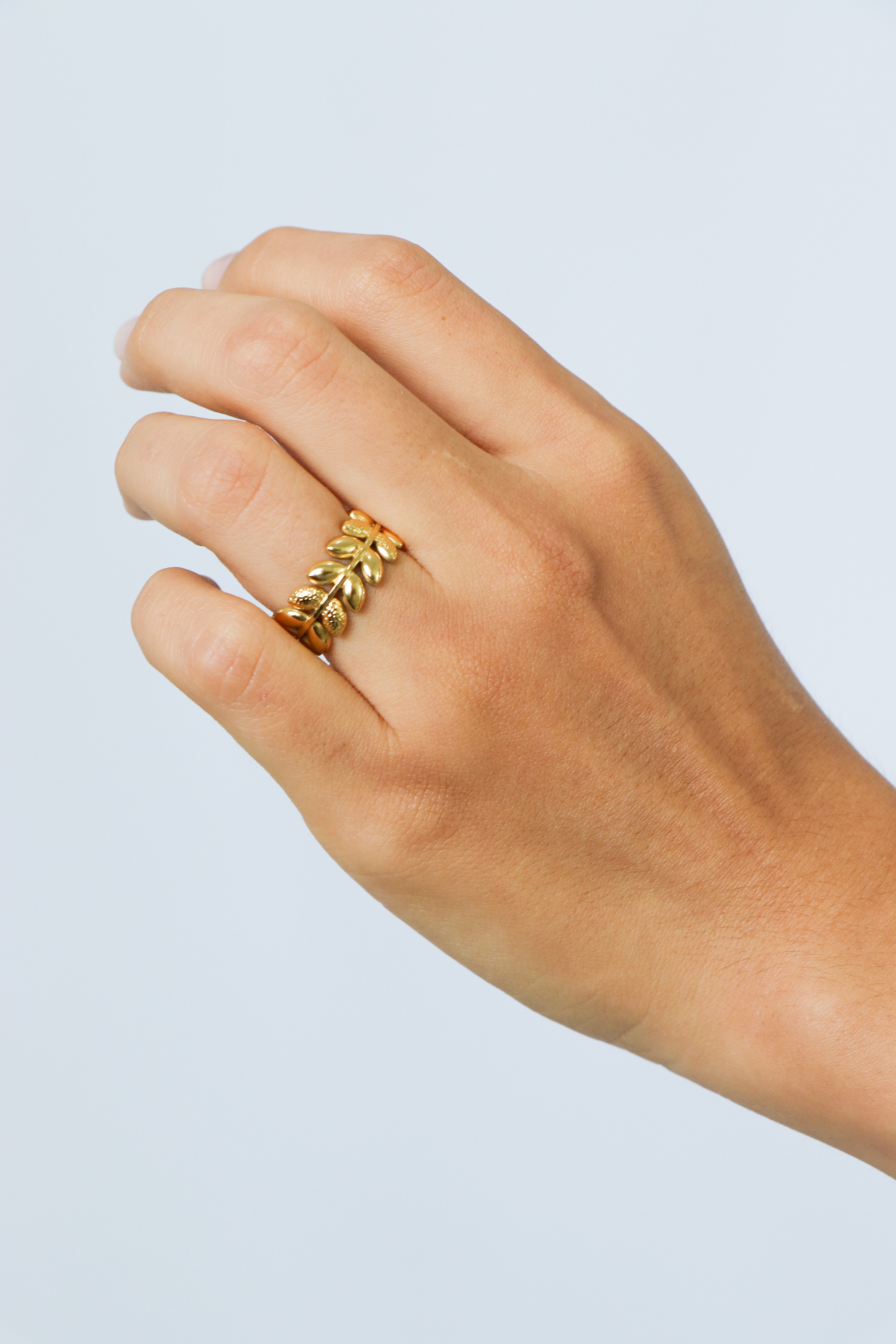 Anillo Foresta