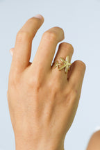 Anillo Marena