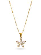Collar Lily